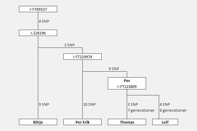 SNP-skiss